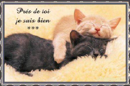 t'aime