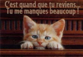 pour mon age