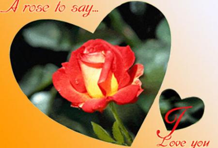 rose