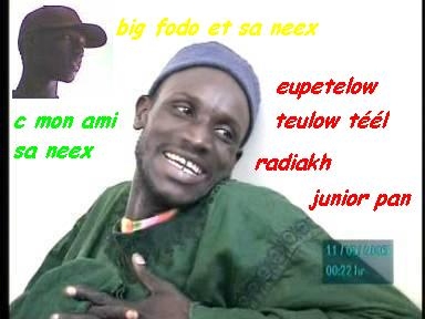 sa neex samb